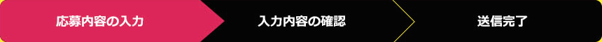 応募内容の入力